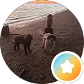 Me Me Avatar
